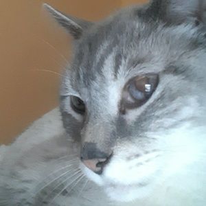 Meet your Posher, Jeff